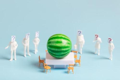 娱乐圈明星吃瓜合集图片